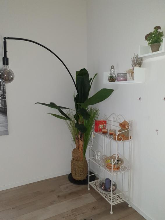 A Casa Di Elsa Apartment Кастеназо Екстериор снимка