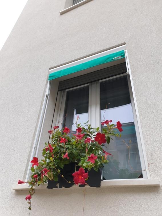 A Casa Di Elsa Apartment Кастеназо Екстериор снимка